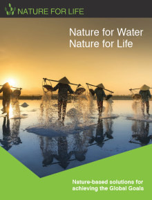 Nature for water, nature for life: nature-based solutions for achieving the global goals